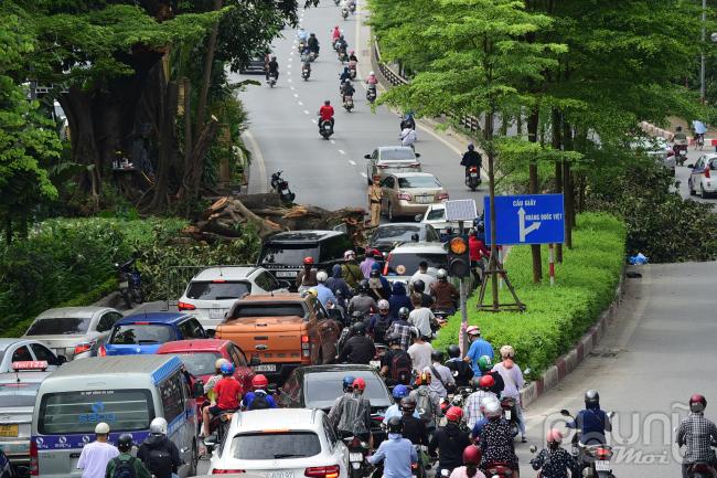 Nhánh của cây đa cổ thụ bị gãy, chắn ngang đường tại khu vực cổng làng Trung Nha (phường Nghĩa Đô, Cầu Giấy, Hà Nội) đường lên vành đai 2 trên cao hướng về Cầu Giấy.