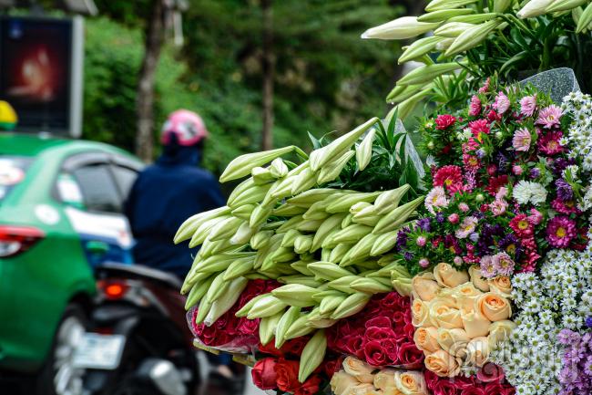 Hoa loa kèn đầu mùa từ vườn ra phố