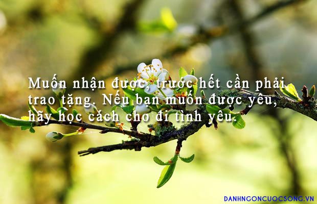 Tử vi sự nghiệp thứ 7 ngày 11/1/2020 của 12 con giáp: Tuất vượt qua mọi thất bại, Sửu tự tin và nhiệt tình