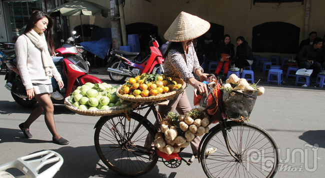 Thị dân và văn hóa đô thị