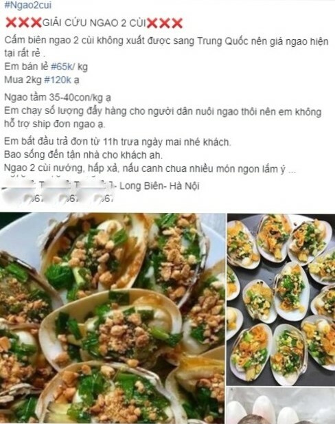 Ngao hai cùi được kêu gọi 