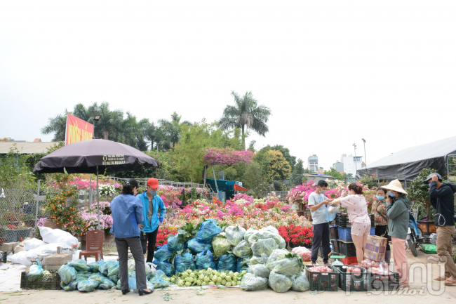 Hàng chục tấn nông sản Hải Dương được người dân thủ đô 'giải cứu' mỗi ngày