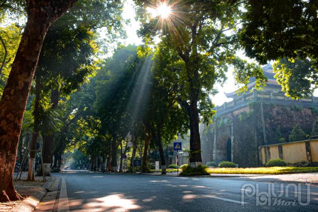 Phố Phan Đình Phùng những ngày cuối thu đẹp nao lòng. Con đường gần một thế kỉ như bừng sáng trong sắc nắng trong vắt.