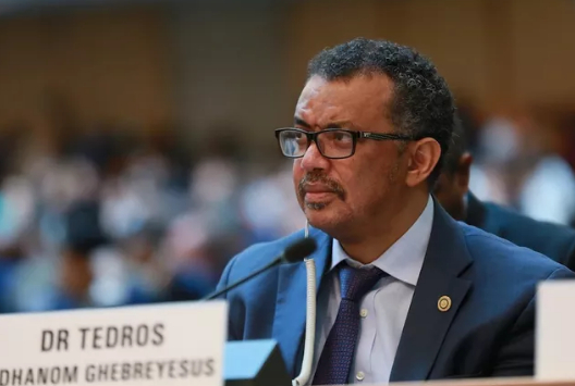   Tổng Giám đốc WHO Tedros Adhanom Ghebreyesus - Ảnh: WHO  