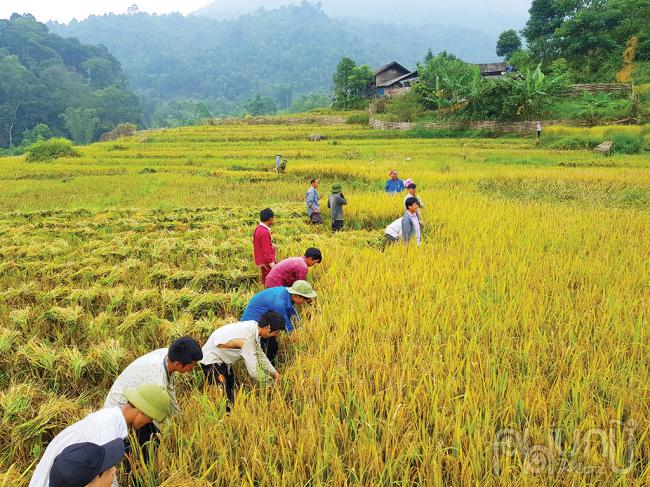 Nơi ấy, Y Tý