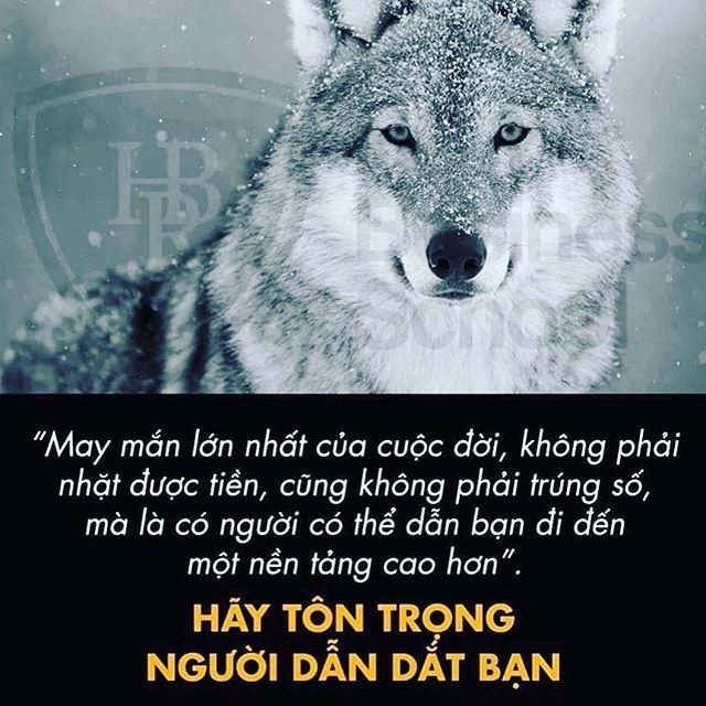 Tử vi sự nghiệp ngày 8/2/2020 của 12 cung hoàng đạo: Cự Giải bận rộn, Sư Tử xem lại thái độ làm việc