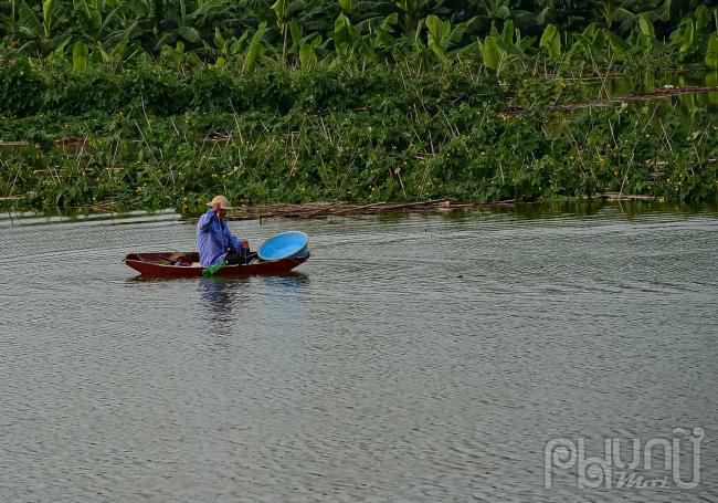 Rau, củ, quả của người dân chìm trong biển nước.