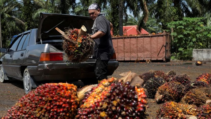 Các công ty Malaysia đau đầu vì tình trạng thiếu lao động nhập cư - Ảnh 1.