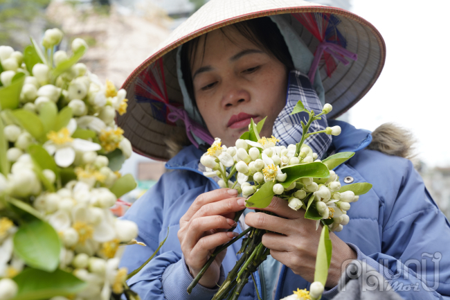 Chị Hoa, một người bán hoa bưởi lâu năm tại đường Lê Duẩn đối diện công viên Thống Nhất (Hà Nội), cho biết, hoa có thể đặt bàn thờ hoặc cắm bình trang trí nhà cửa giống như các loại hoa khác. Đặc biệt, loại hoa này cắm nước sẽ bị úng và rụng cánh rất nhanh, do đó người chơi hoa phải để khô mới tỏa hương và để được lâu.