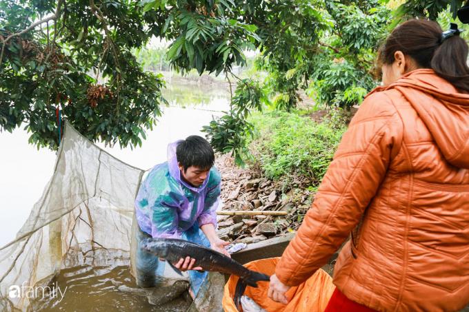 Cá trắm đen không ăn tạp là nguyên liệu chính.