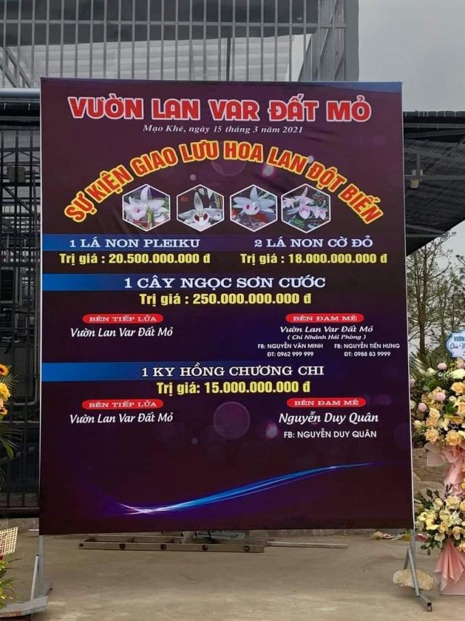 Xôn xao thương vụ chuyển giao lan var Ngọc sơn cước giá 250 tỷ đồng