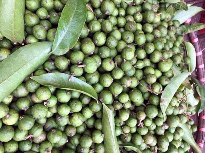 Sấu non đầu mùa chỉ còn 40.000 đồng/kg