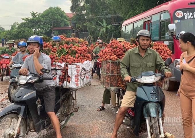 Từng xe thồ vải nối đuôi nhau. (Ảnh: Vietnamnet)