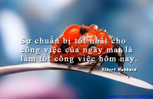 Tử vi sự nghiệp thứ 5 ngày 9/1/2020 của 12 con giáp: Dần tự tin và lạc quan, Thân vượt qua mọi thất bại