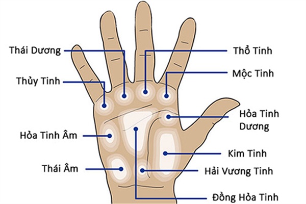 Bật mí 4 cách xem chỉ tay để biết bạn có số đi nước ngoài