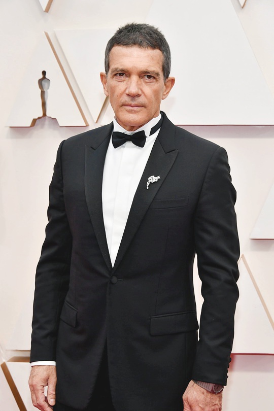 Antonio Banderas có đề cử Oscar đầu tiên sự nghiệp là Nam diễn viên chính xuất sắc với bộ phim 