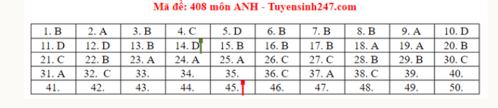 Đáp án môn Tiếng Anh THPT Quốc gia 2020: Mã đề 408