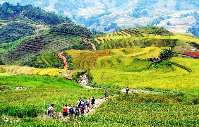 8 cung đường trekking tuyệt đẹp tại Việt Nam