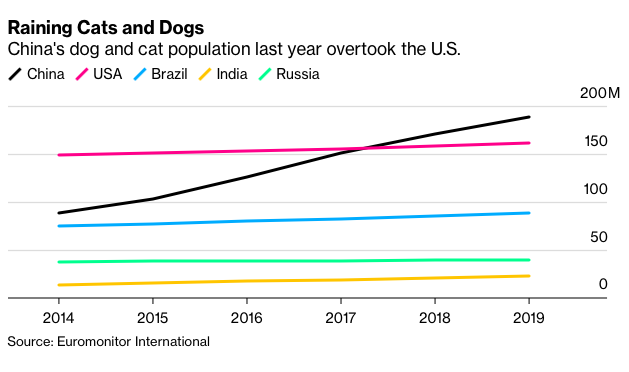 Số lượng chó mèo ở Trung Quốc tăng mạnh trong 5 năm qua. Ảnh: Bloomberg.