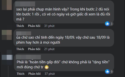 Có ý kiến cho rằng Hồng Thanh dùng từ 