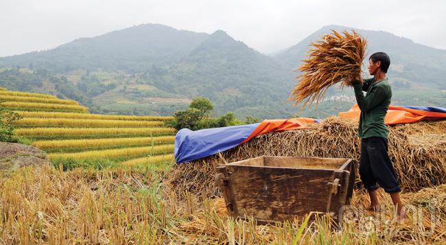 Nơi ấy, Y Tý