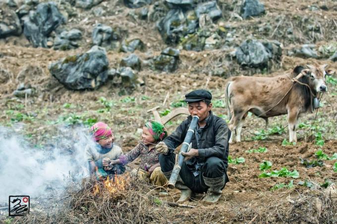 Hoa của đá hay 15 năm tình yêu Tây Bắc