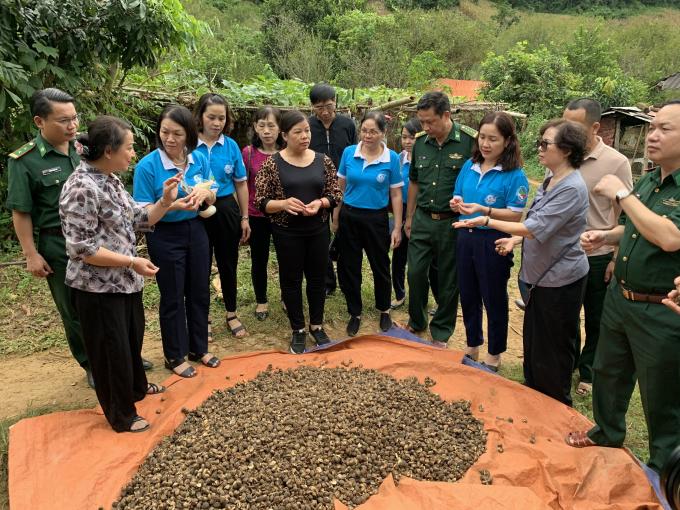 Lãnh đạo đoàn công tác đi thăm mô hình ở Bản Tòng, xã Chiềng Khừa