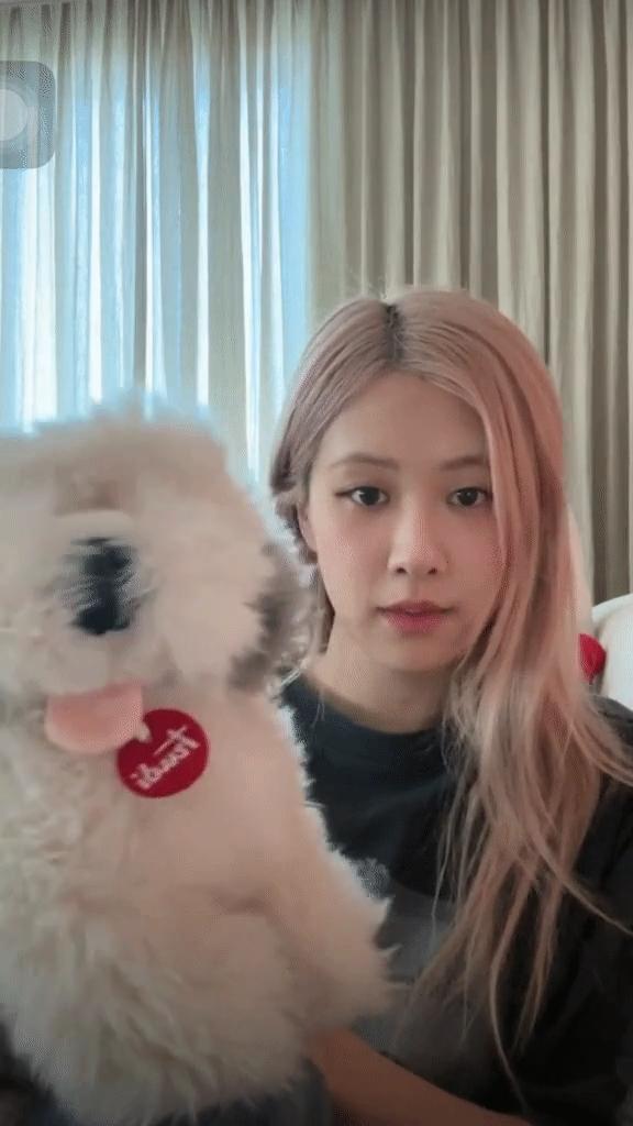 Rosé trước đó cũng từng bị đánh bản quyền vì mở nhạc BLACKPINK 