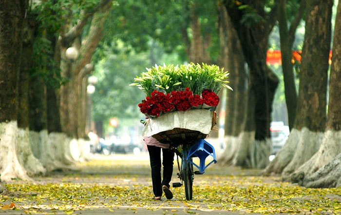 Hoa Loa kèn dịu dàng nỗi nhớ tháng Tư - Ảnh 5.