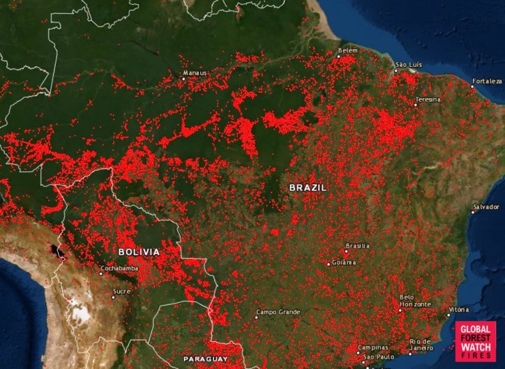 Brazil điều động quân đội, máy bay quân sự để chiến đấu với đám cháy rừng Amazon