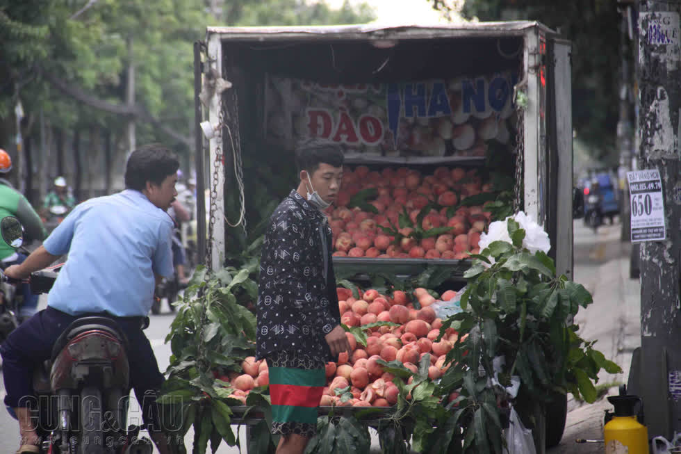 Nhiều người mua không biết chắc chắn về nguồn gốc của loại đào Tây Tạng, nhưng vẫn mua về tiêu thụ vì màu sắc hấp dẫn, vị ngon hơn đào thông thường