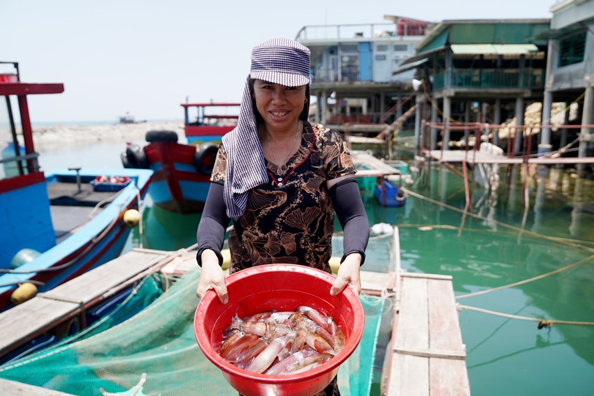 Vì sao mực nhảy Vũng Áng giá cao vẫn hấp dẫn du khách muôn phương? - Ảnh 5.