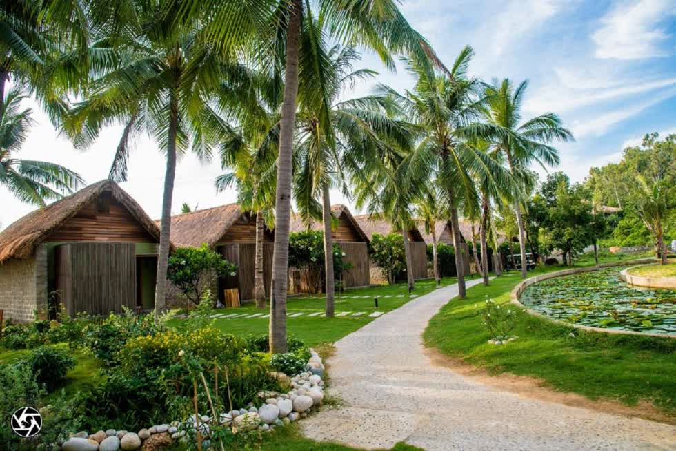 7 resort 'sống ảo' không thể bỏ qua khi đến Quy Nhơn