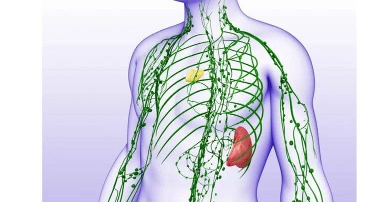 Lợi ích không ngờ từ việc uống nước chanh ấm vào buổi sáng  