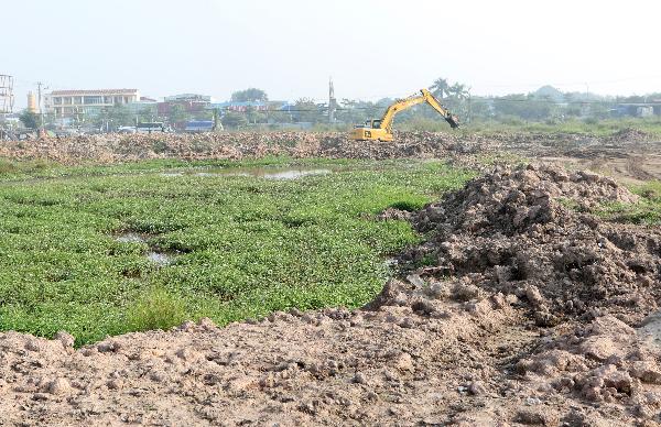   PGS.TS Bùi Văn Liêm – Phó Viện trưởng Viện khảo cổ học cho biết, hiện gò Mỏ Phượng đã bị san ủi tới 90% diện tích, gò Dền Rắn cũng mất tới 50%, đơn vị thi công đã san ủi và làm cống, làm đường nội bộ trên những diện tích này. Các hố thám sát mà Viện Khảo cổ thực hiện trong thời gian qua hiện nay cũng đã bị lấp hết.  