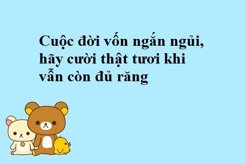 Tử vi hàng ngày 16/2/2020 của 12 con giáp: Tý lãng mạn, Mẹo sự nghiệp gặp trở ngại