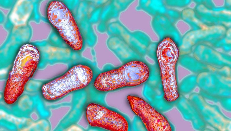 Độc chất thần kinh Botulinum sản sinh từ vi khuẩn Clostridium botulinum. Ảnh: NPR