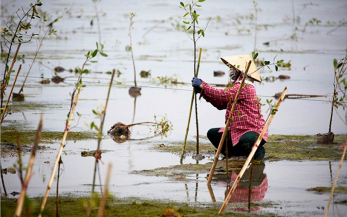 Phụ nữ thường là đối tượng chịu nhiều tác động bất lợi hơn nam giới trong các vấn đề về biến đổi khí hậu