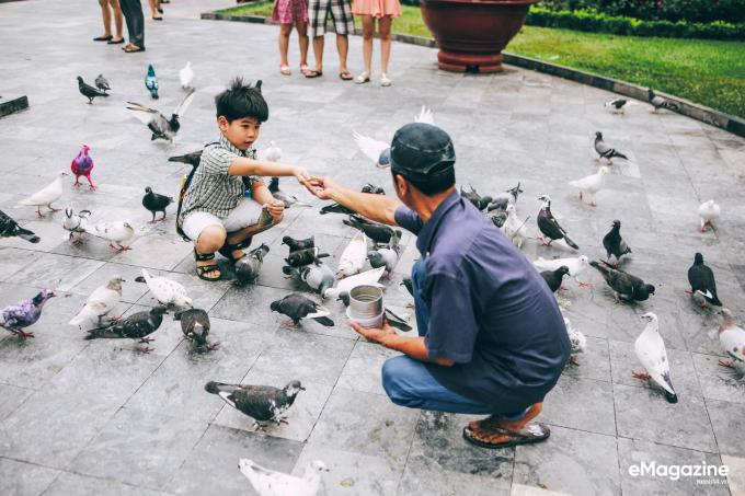 Người đàn ông nuôi bồ câu, gieo hạt mầm lương thiện vào lòng trẻ nhỏ.