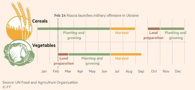 Chiến dịch quân sự của Nga làm gián đoạn ngành nông nghiệp Ukraine đúng thời điểm quan trọng (Biểu đồ: FAO/Financial Times).