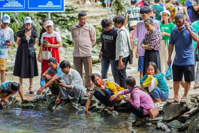 Đàn cá cả vạn con ở Thanh Hóa, vì sao không ai dám xâm phạm?