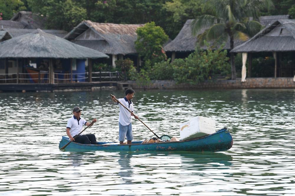 Cặp đôi Pháp - Việt biến đảo hoang thành ‘nơi nghiêm ngặt’: Xem cá voi gần bờ, Forbes và CNN đều ca ngợi - Ảnh 6.