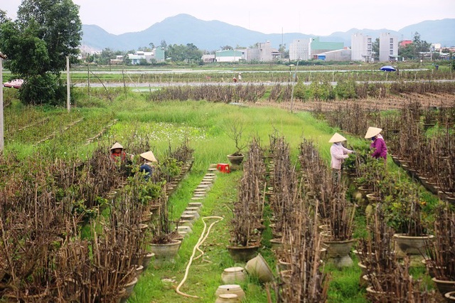 Nghề 