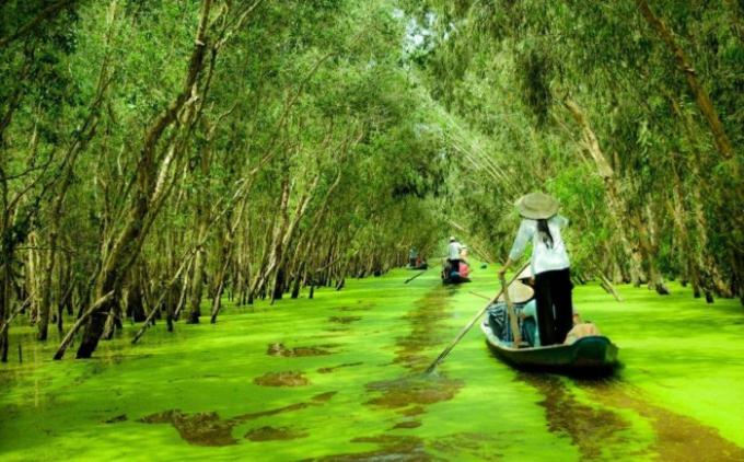 Du xuân nơi cực nam Tổ quốc