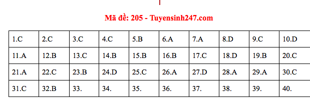 Mã đề 205.