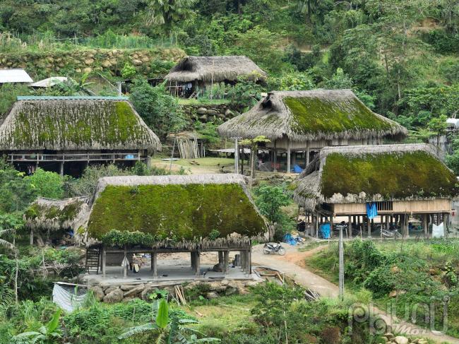 Từ bao đời, những ngôi nhà sàn lợp mái lá cọ đã che chở, bảo vệ người dân nơi đây chống chọi với thời tiết quanh năm sương mù bao phủ