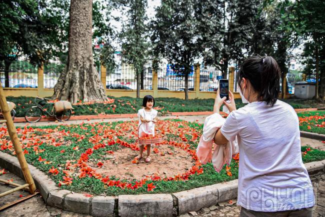 Tạo hình từ hoa gạo để du khách chụp ảnh.