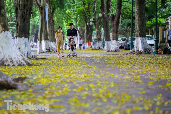 Khoảnh khắc giao mùa đều đem đến cho ta cảm giác lạ kỳ.