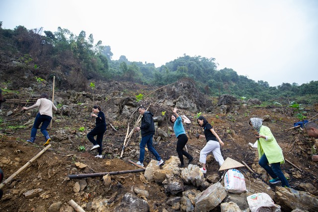 “Ngân hàng cây xanh” TreeBank và câu chuyện lạ: Không cần đất cũng có thể trồng rừng