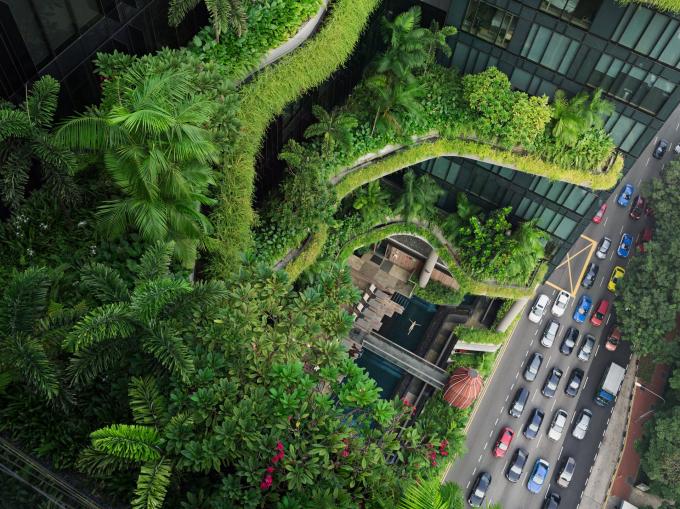 Bức ảnh chụp từ công trình tòa Park Royal on Pickering tại Singapore, 2014 (Ảnh: Lucas Foglia/Courtesy of Michael Hoppen Gallery).